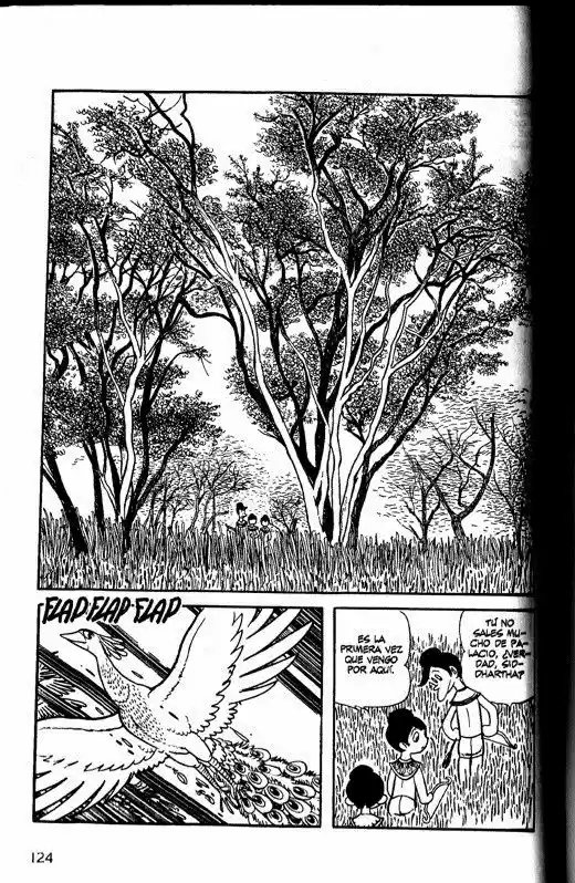 Buda capítulo 13, página 24