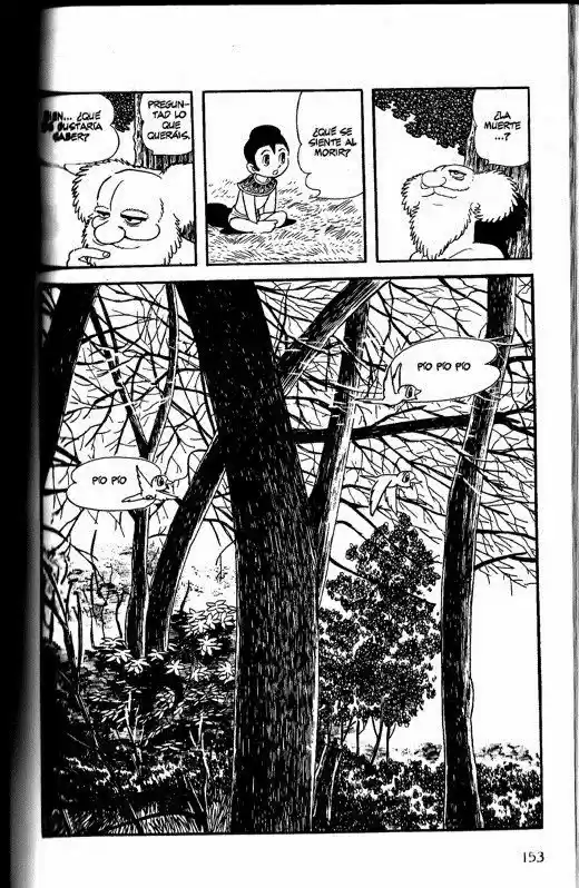 Buda capítulo 14, página 11