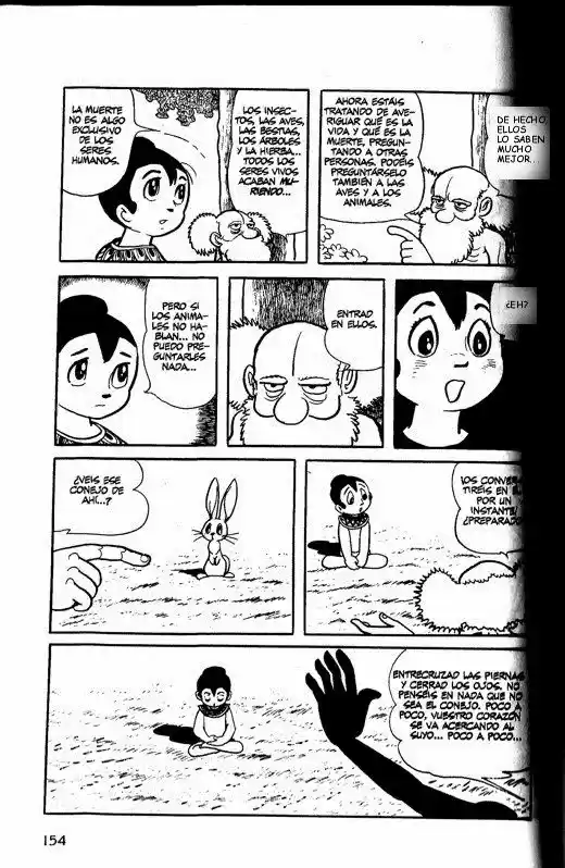 Buda capítulo 14, página 12
