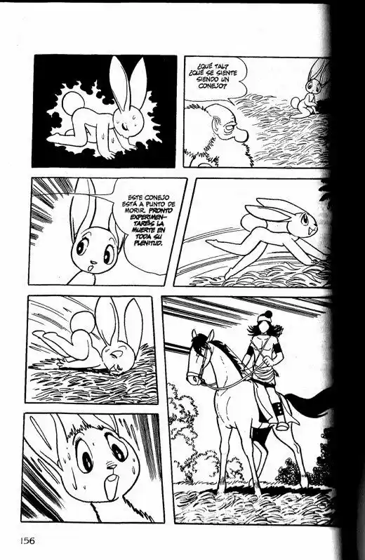 Buda capítulo 14, página 14