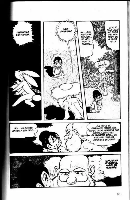 Buda capítulo 14, página 19