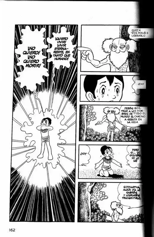 Buda capítulo 14, página 20