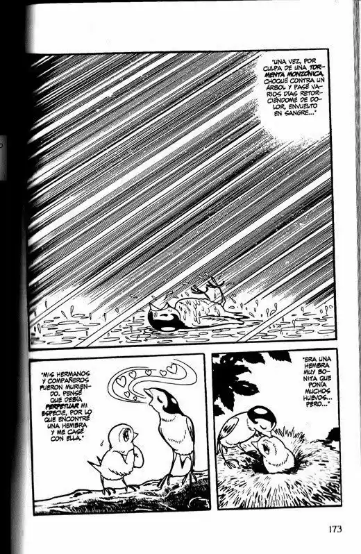 Buda capítulo 14, página 31