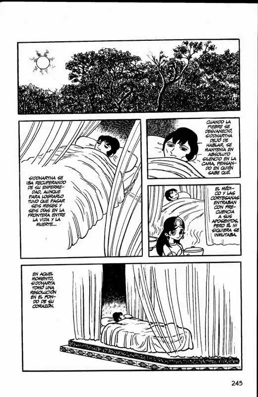 Buda capítulo 16, página 19