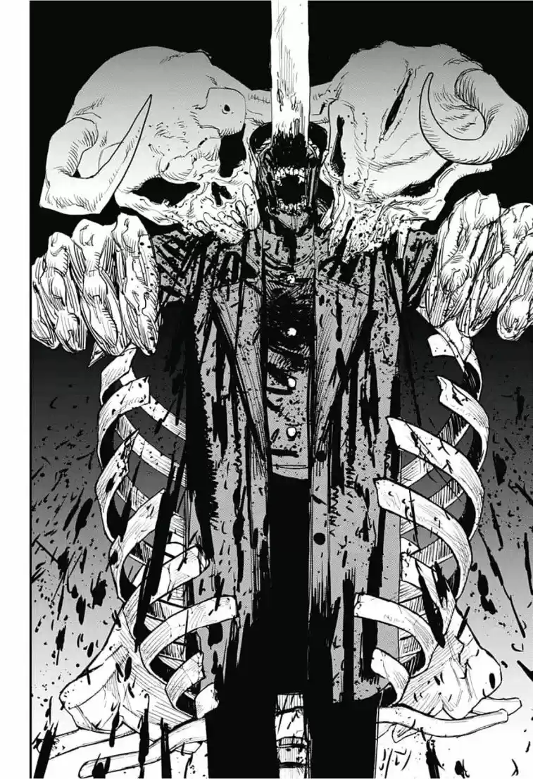 Chainsawman capítulo 24, página 11