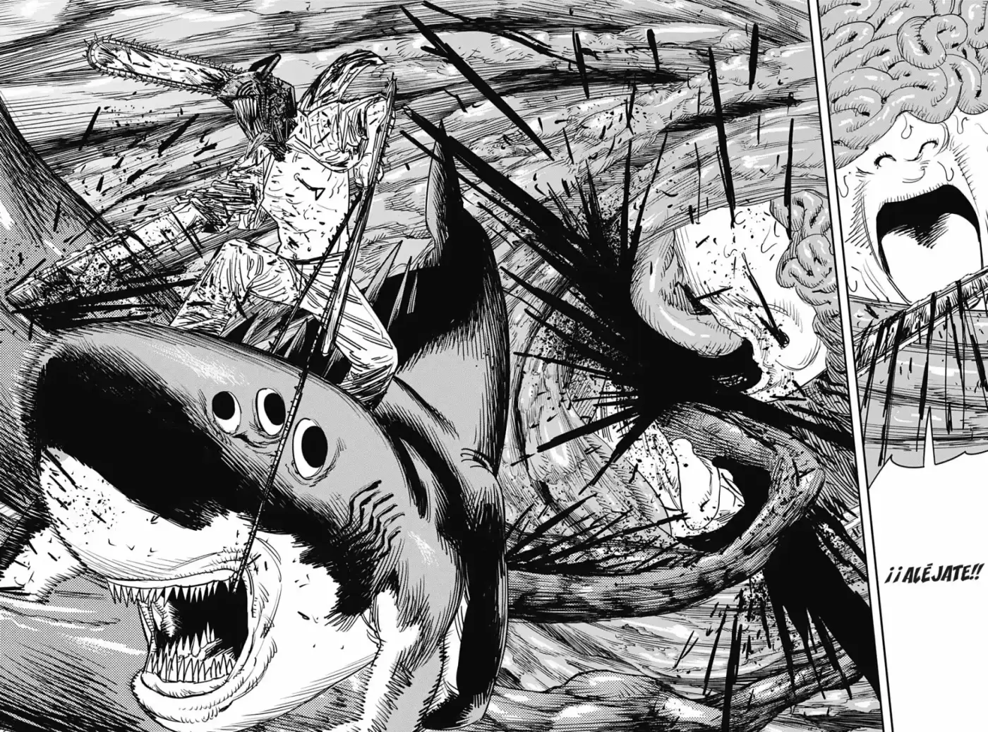 Chainsawman capítulo 50, página 15