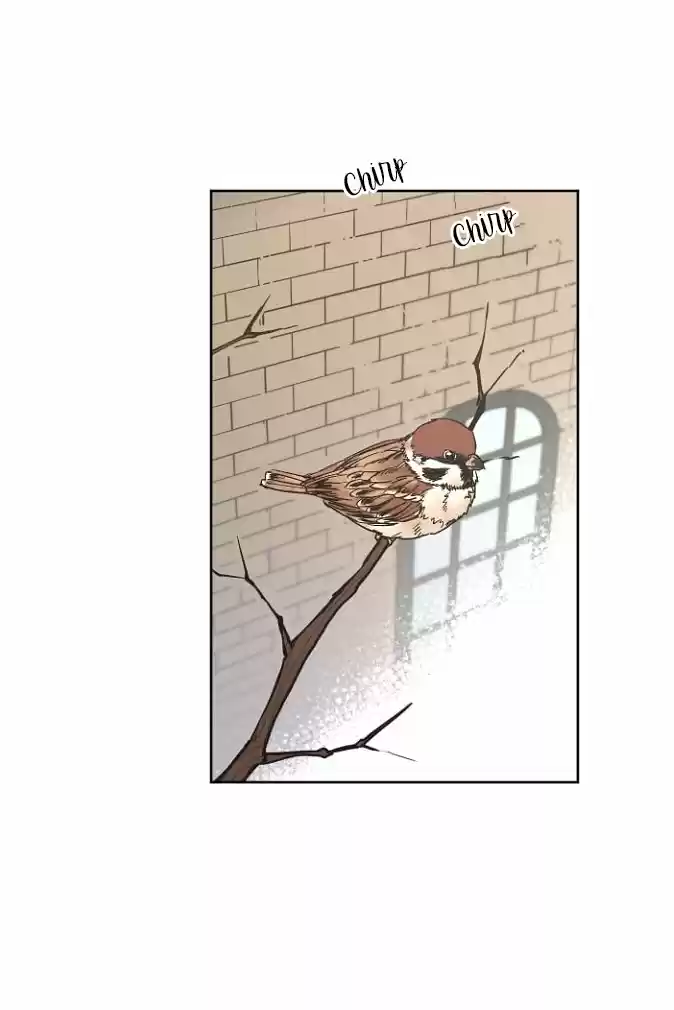Chitra capítulo 26, página 5