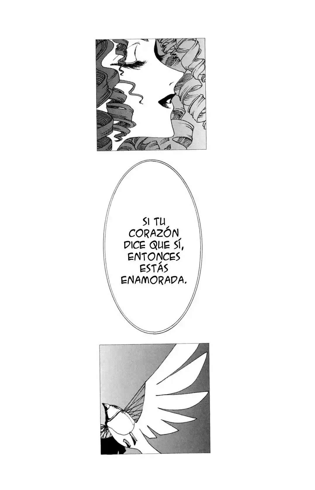 CLOVER (CLAMP) capítulo 5, página 71