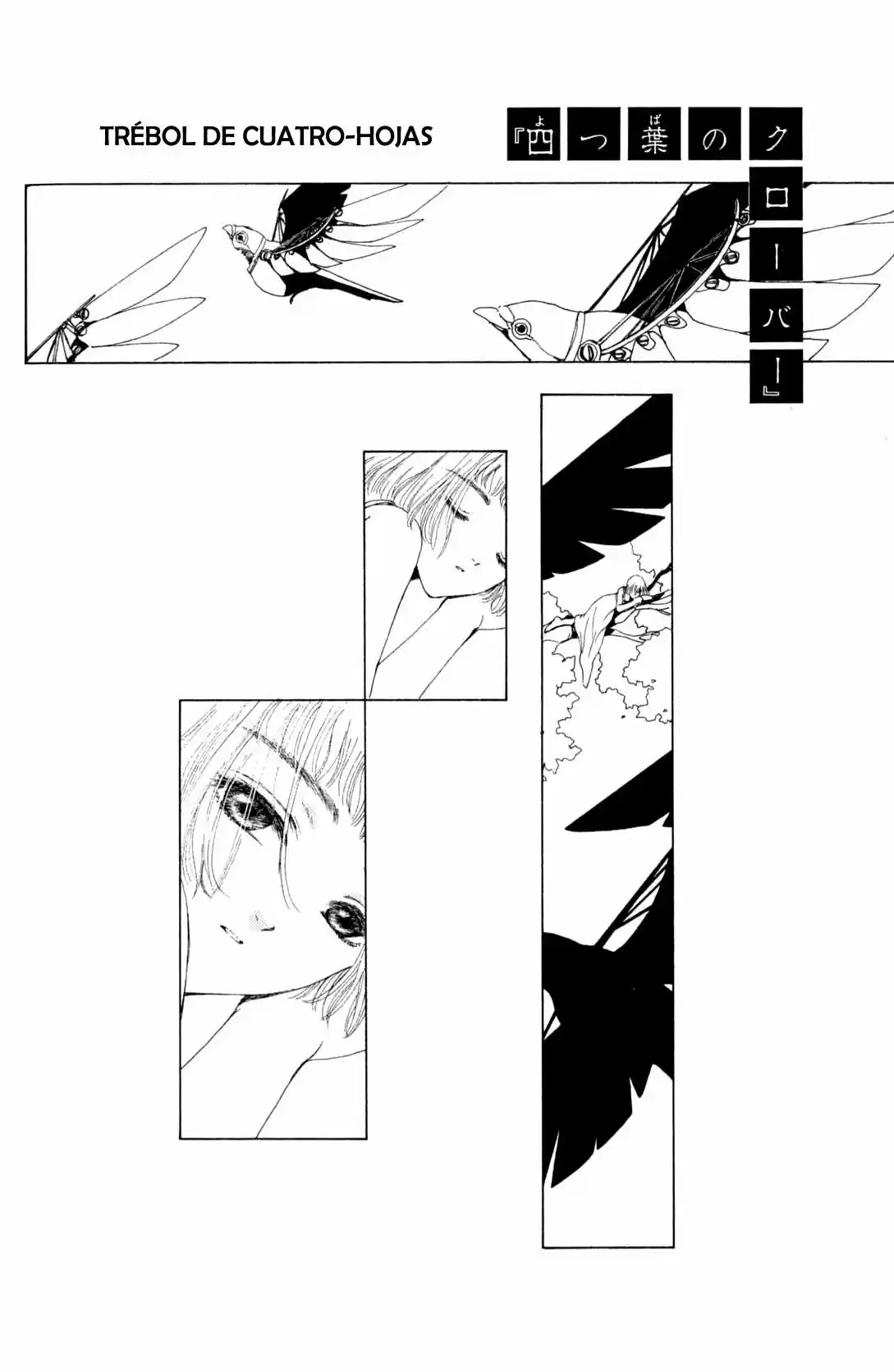 CLOVER (CLAMP) capítulo 6, página 11