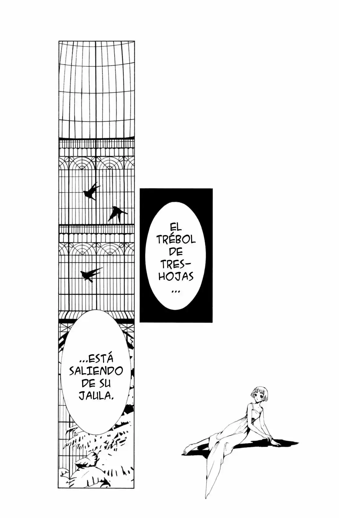 CLOVER (CLAMP) capítulo 6, página 12
