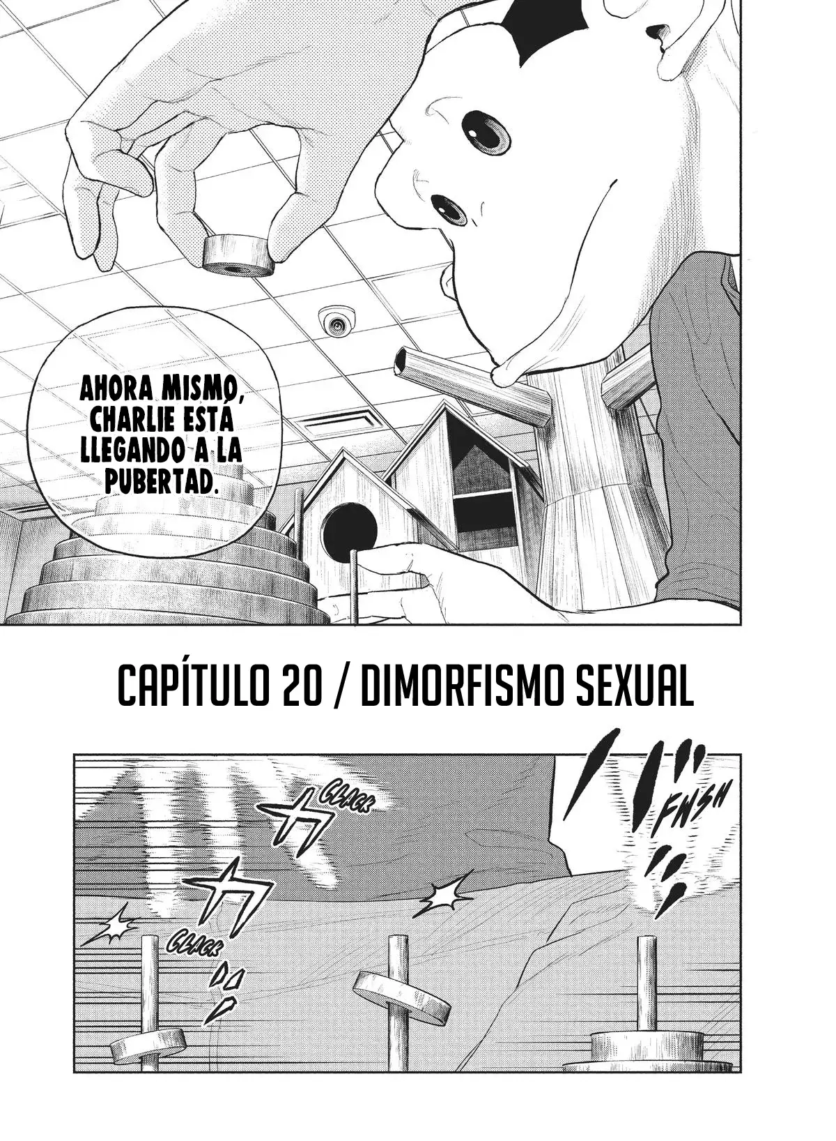 Darwin Incident capítulo 20, página 6