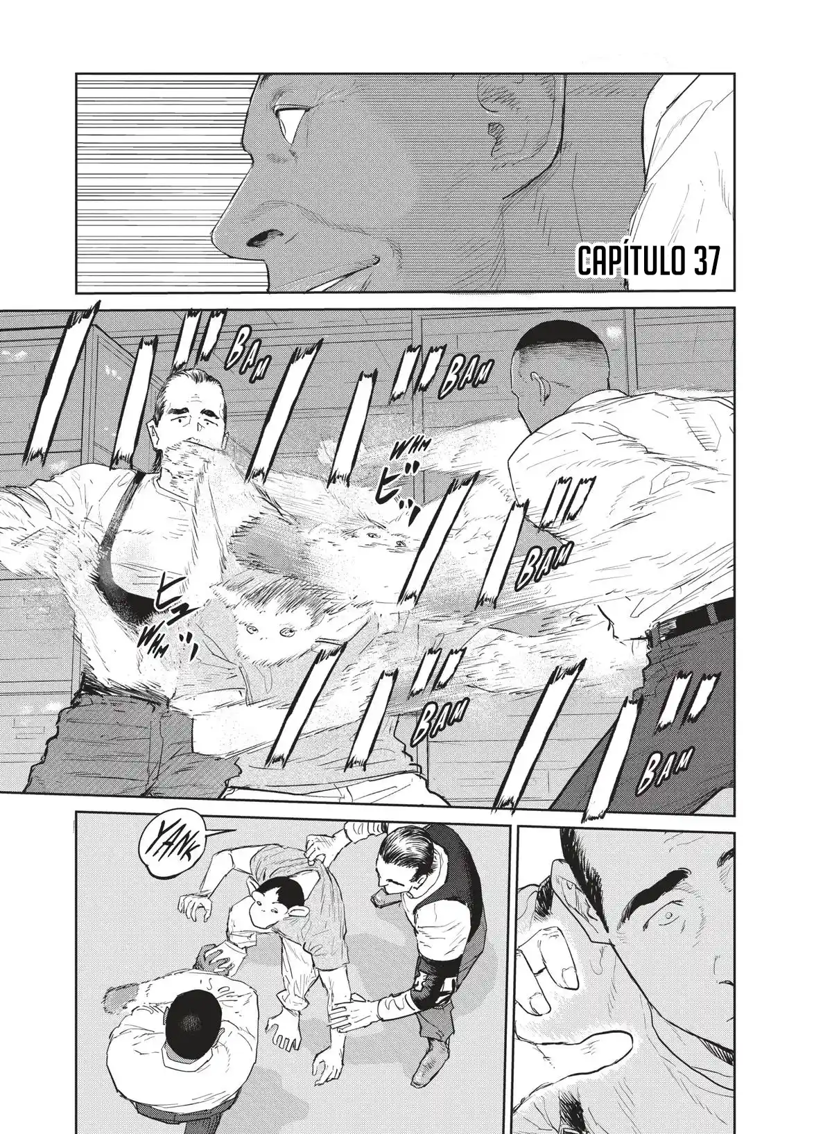 Darwin Incident capítulo 37, página 4