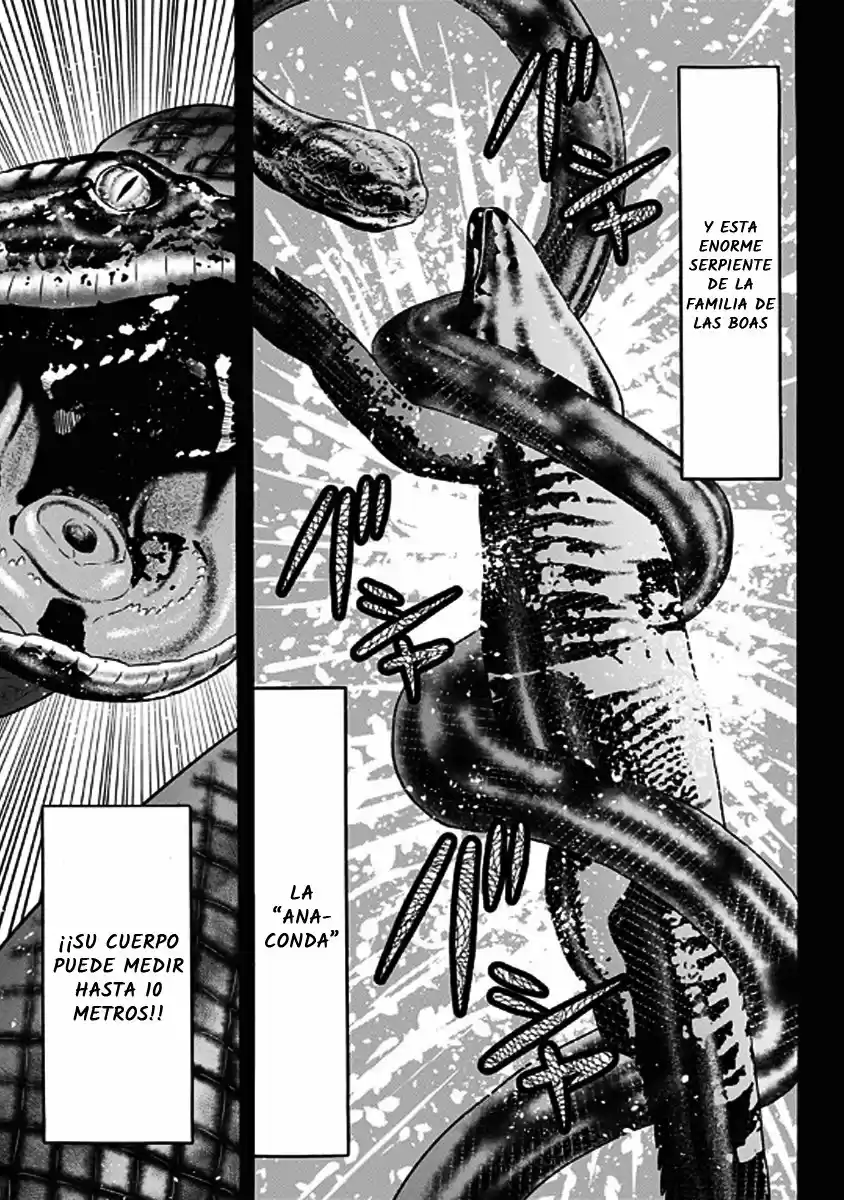 Dorei Yuugi capítulo 36, página 15