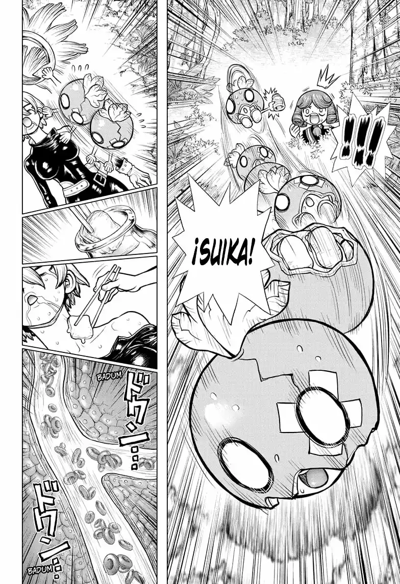 Dr.Stone capítulo 185, página 17