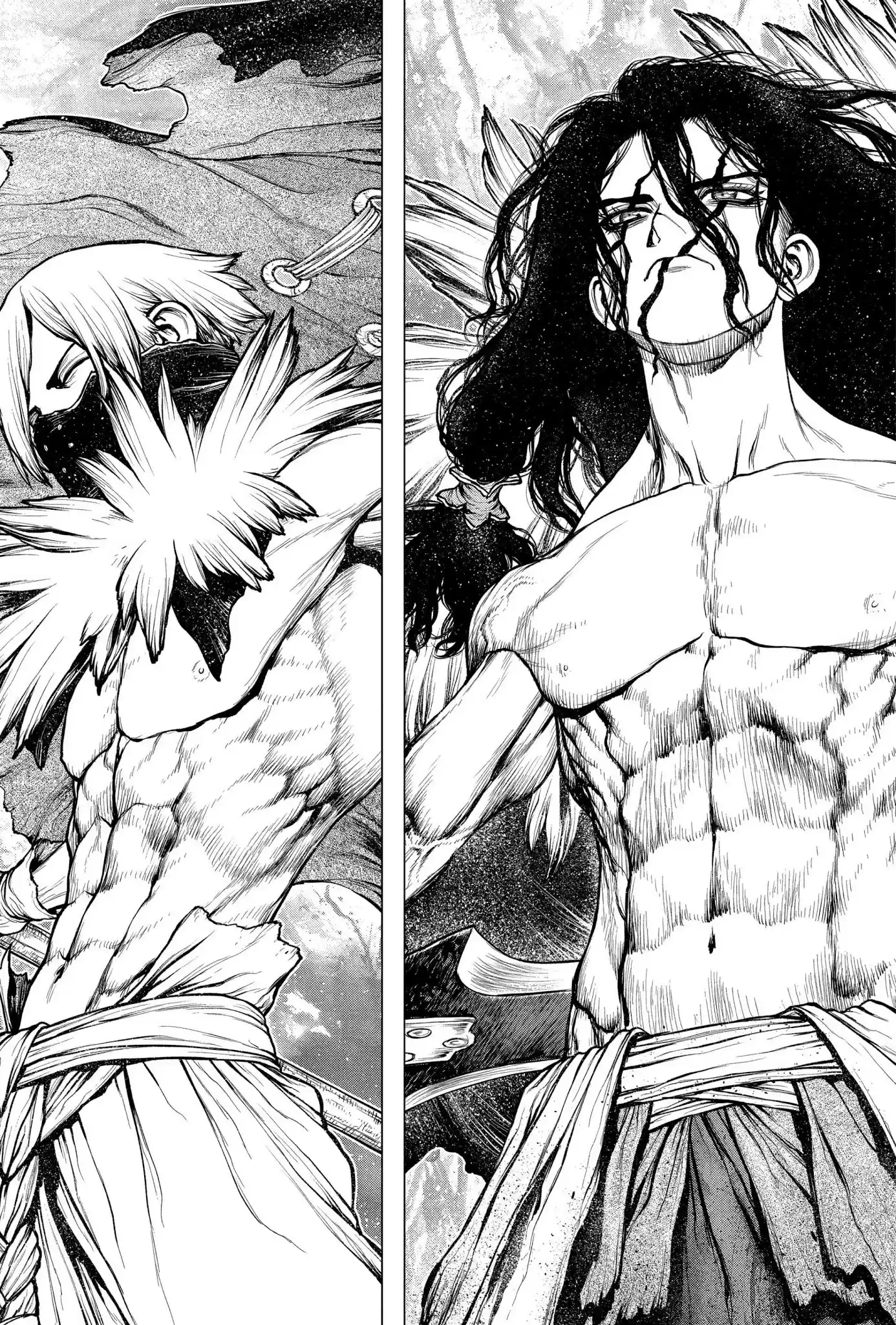 Dr.Stone capítulo 187, página 17