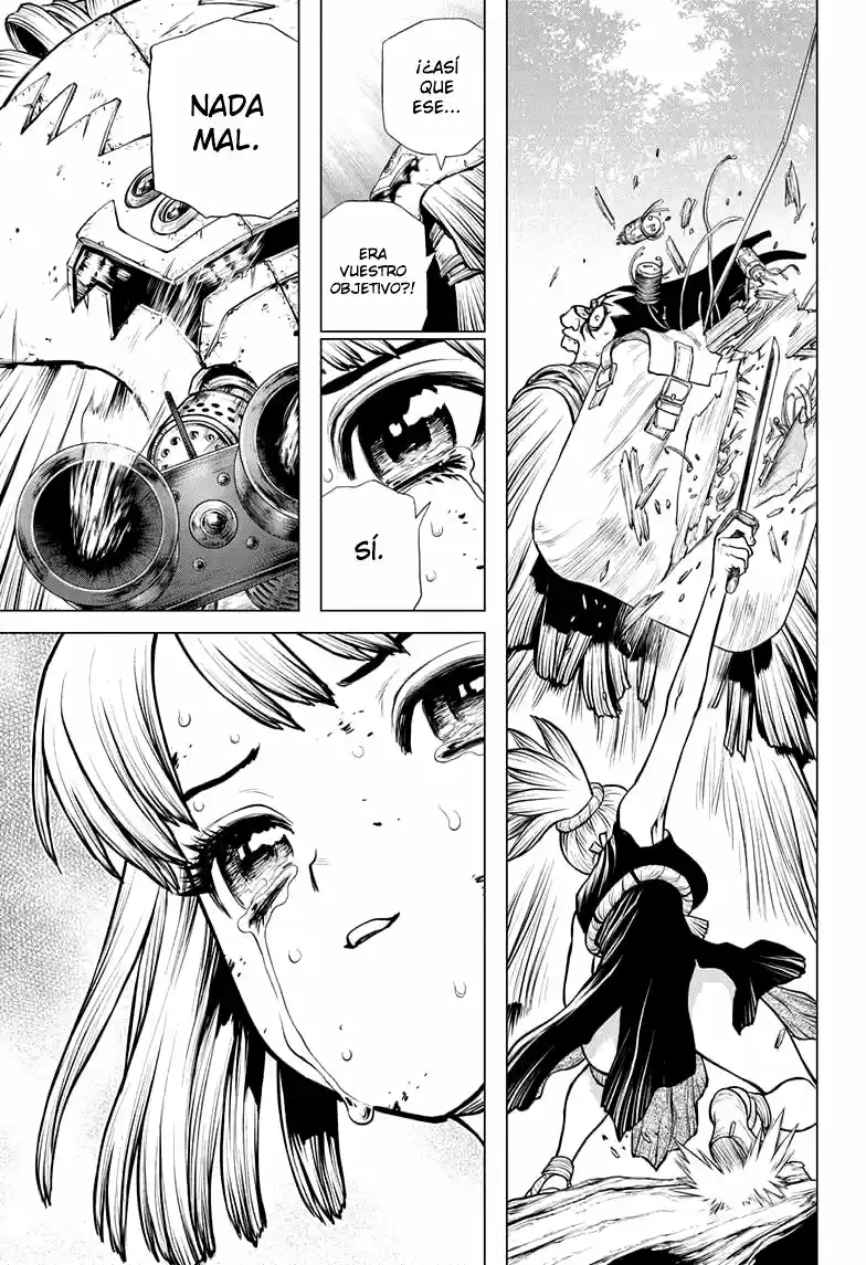 Dr.Stone capítulo 188, página 14