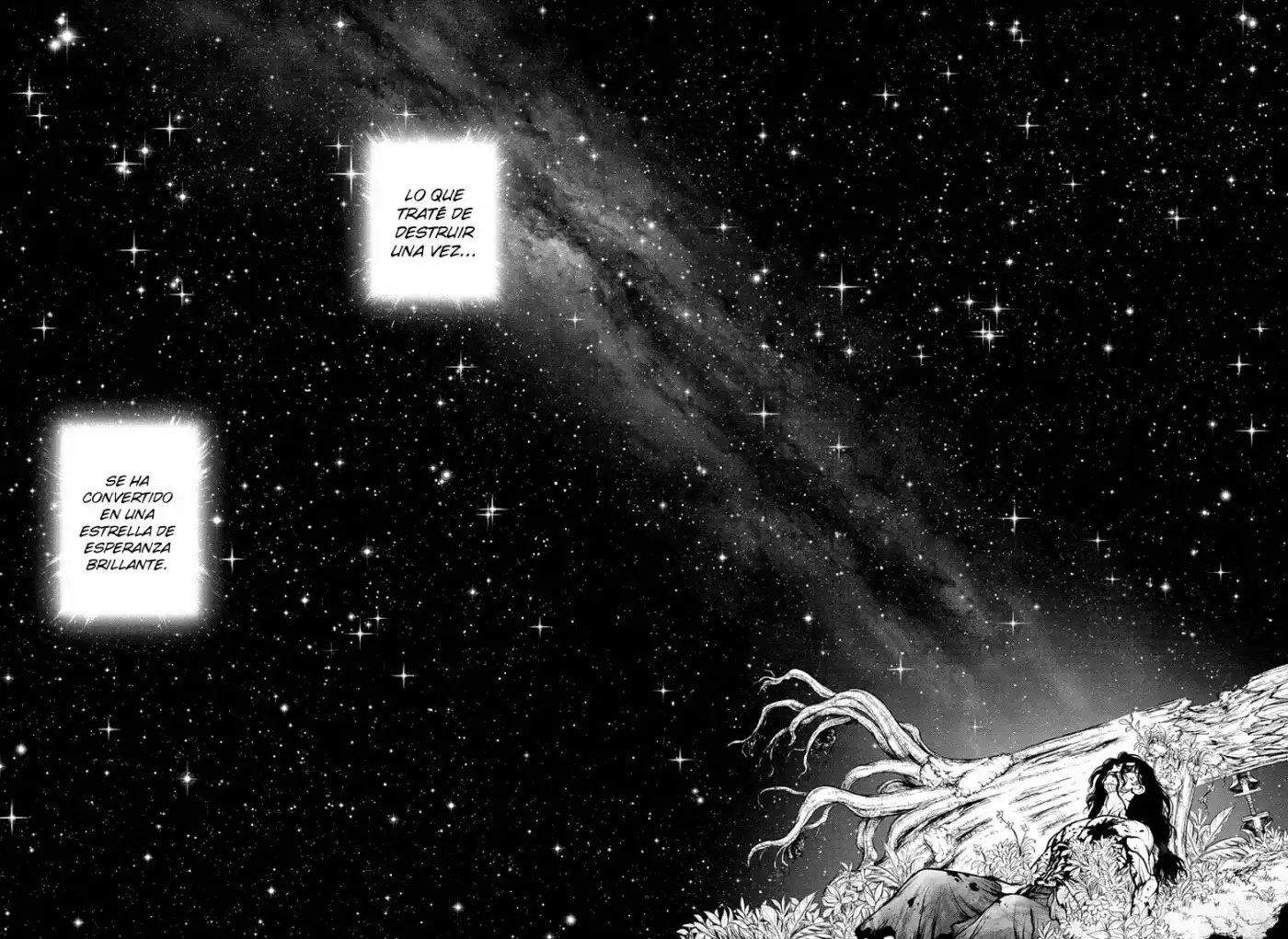 Dr.Stone capítulo 188, página 17