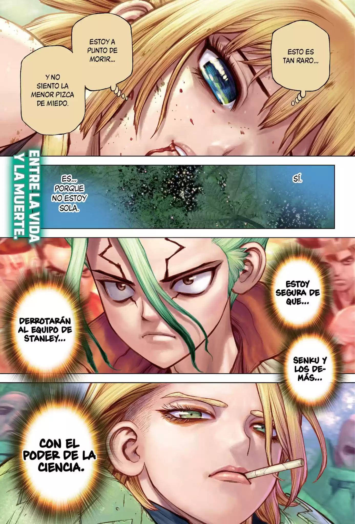 Dr.Stone capítulo 189, página 1