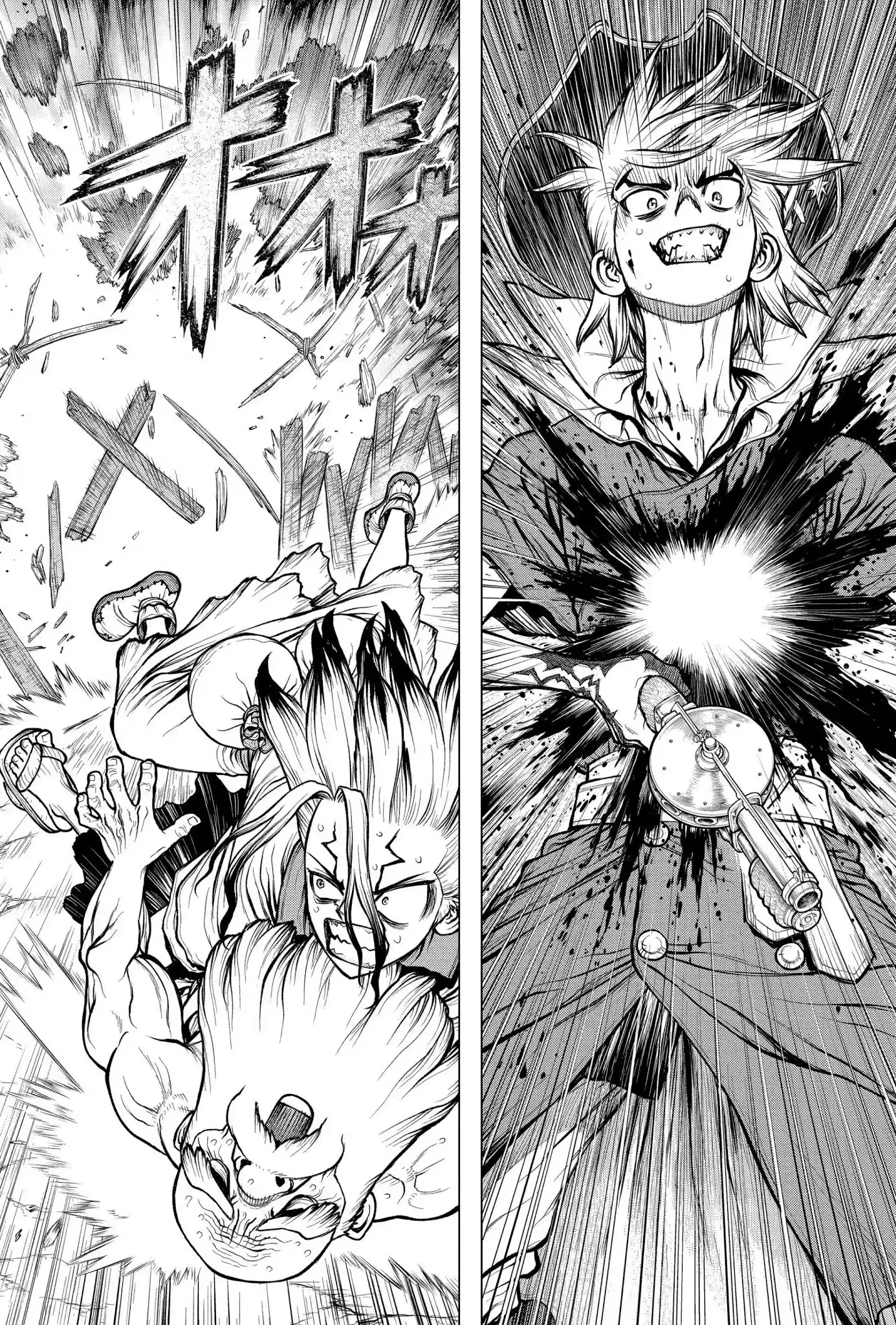 Dr.Stone capítulo 189, página 22