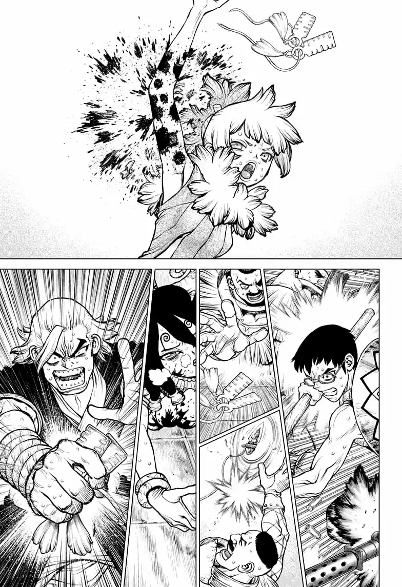 Dr.Stone capítulo 191, página 12