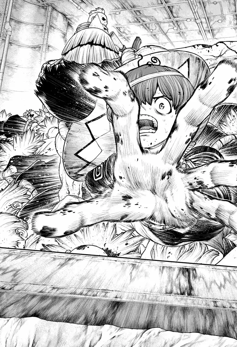Dr.Stone capítulo 191, página 15