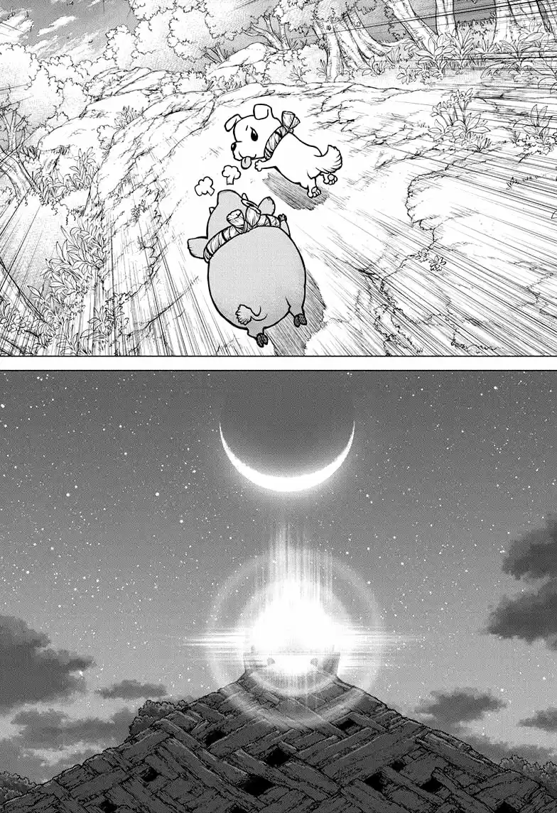 Dr.Stone capítulo 193, página 17