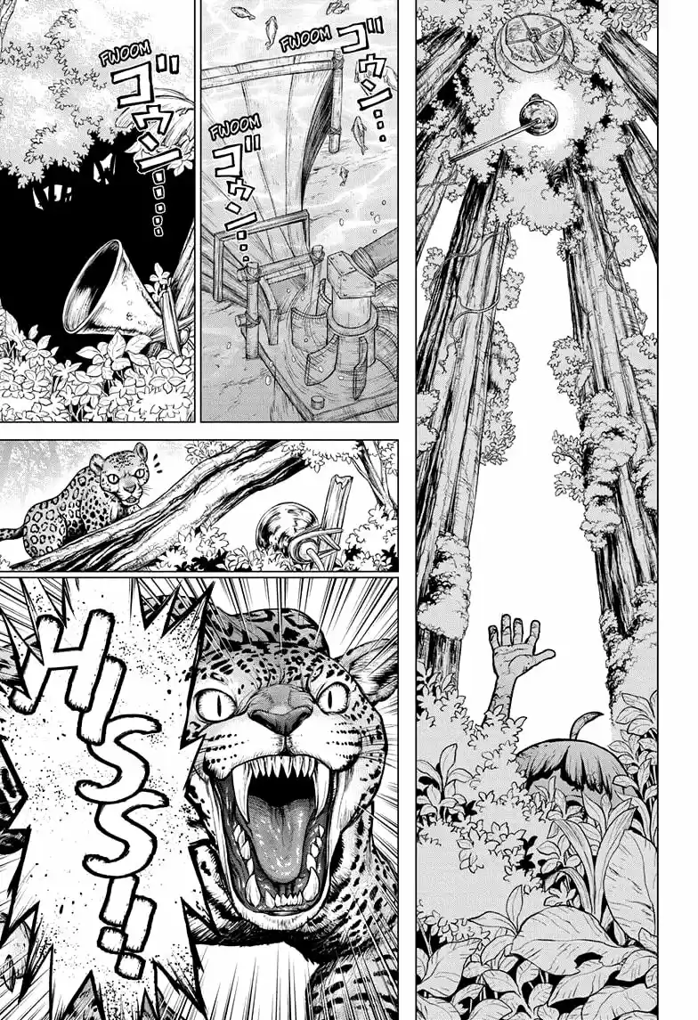 Dr.Stone capítulo 194, página 5