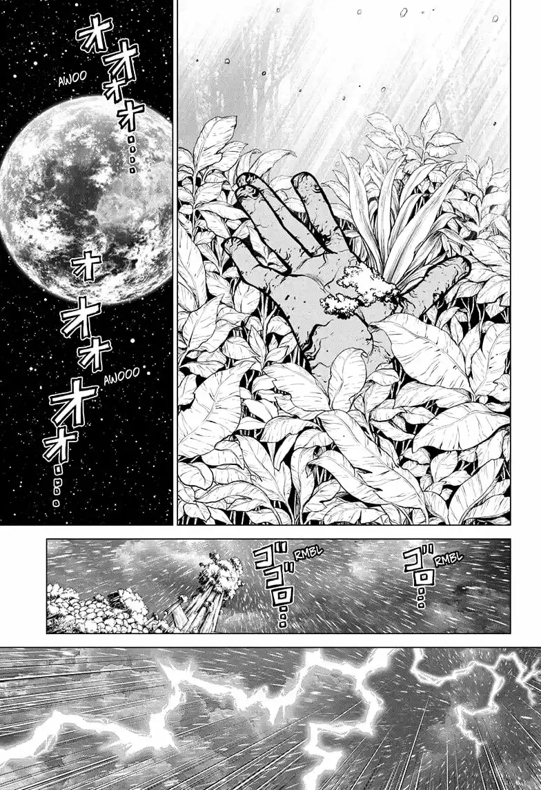Dr.Stone capítulo 194, página 7
