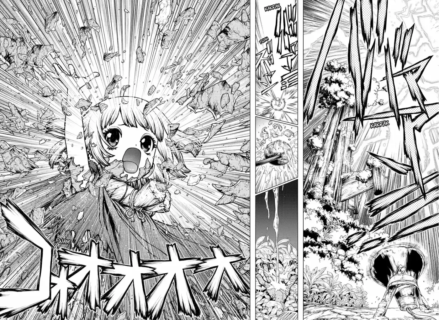 Dr.Stone capítulo 194, página 8
