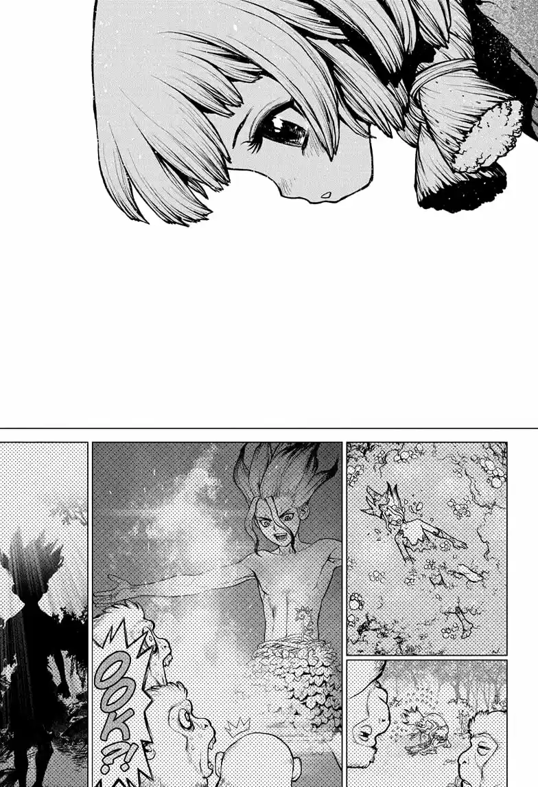Dr.Stone capítulo 194, página 16