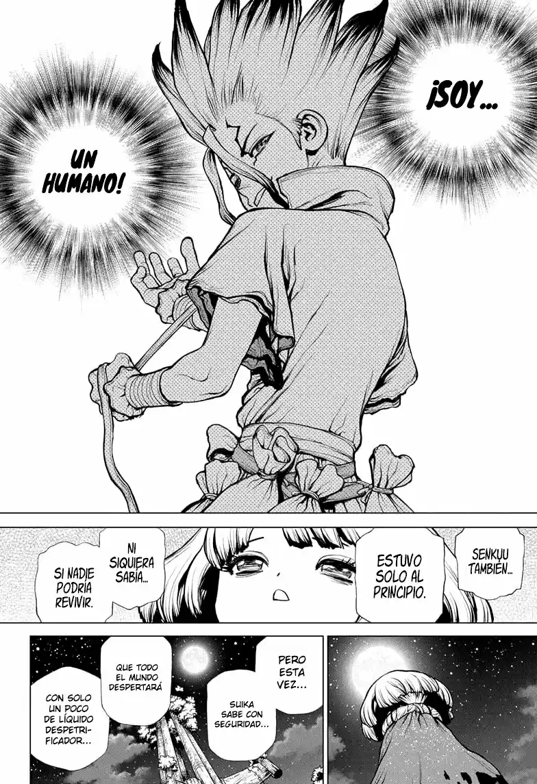 Dr.Stone capítulo 194, página 17