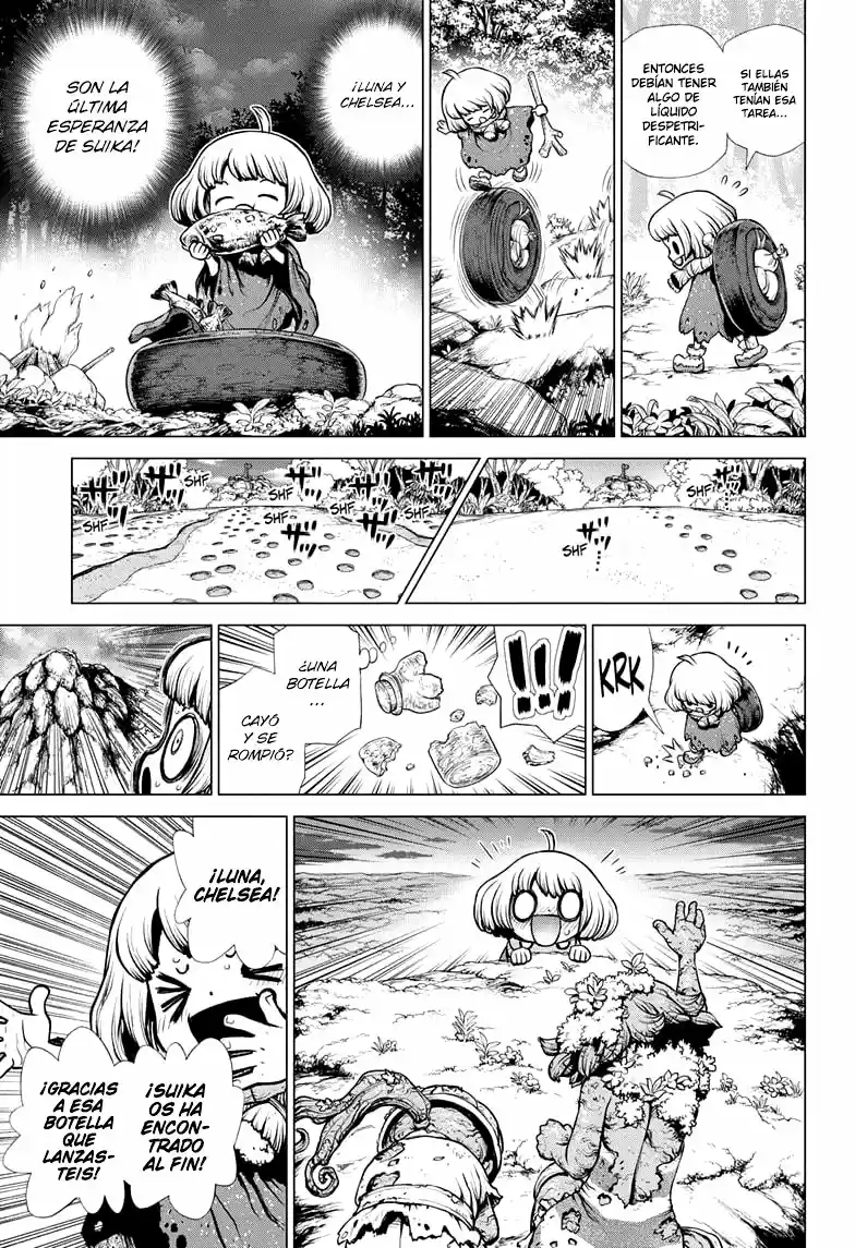 Dr.Stone capítulo 195, página 14