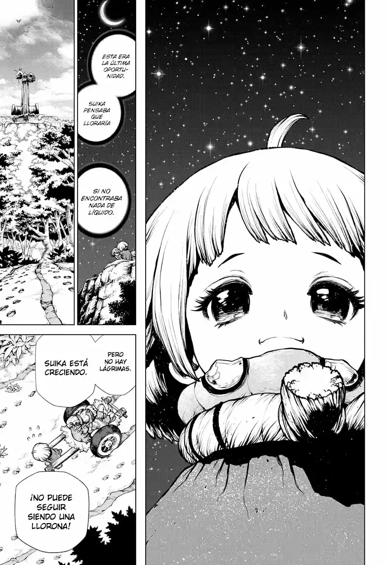 Dr.Stone capítulo 195, página 16