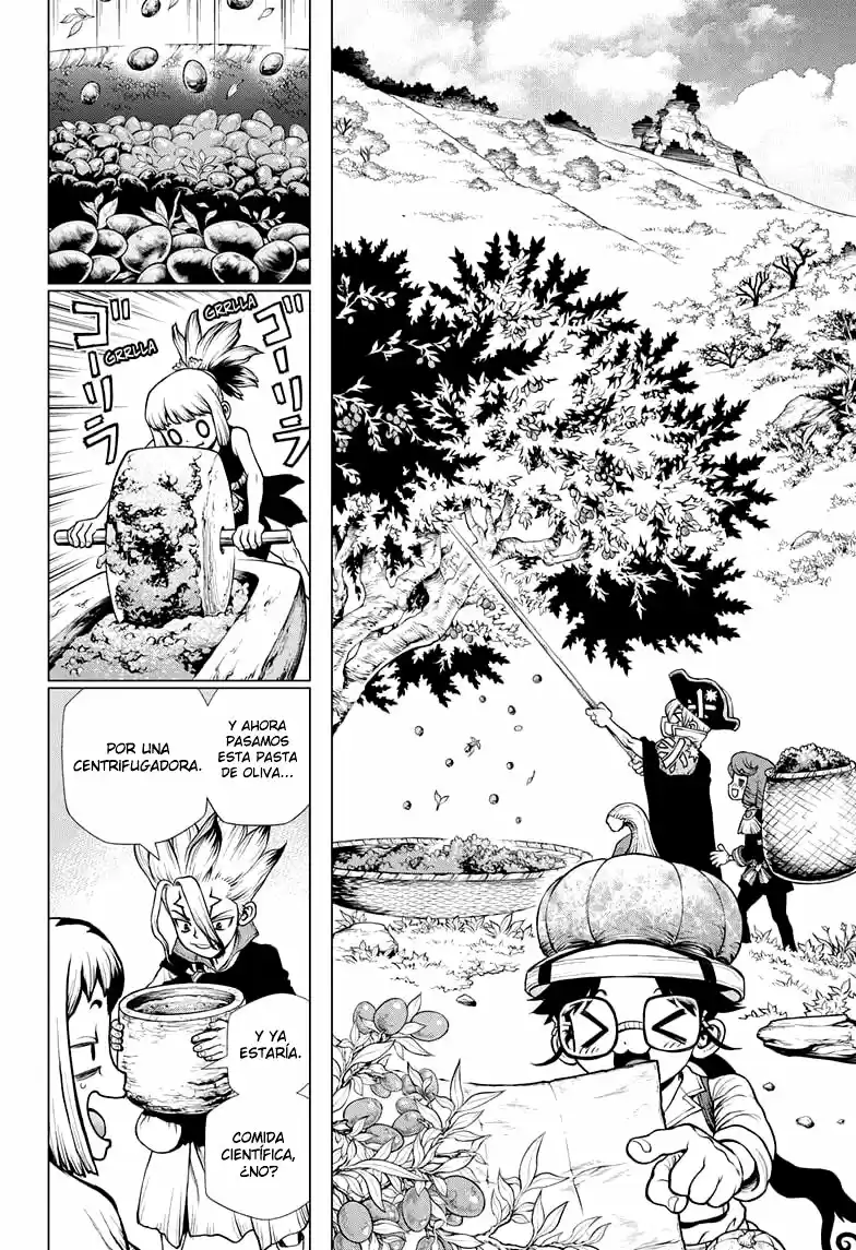 Dr.Stone capítulo 202, página 8