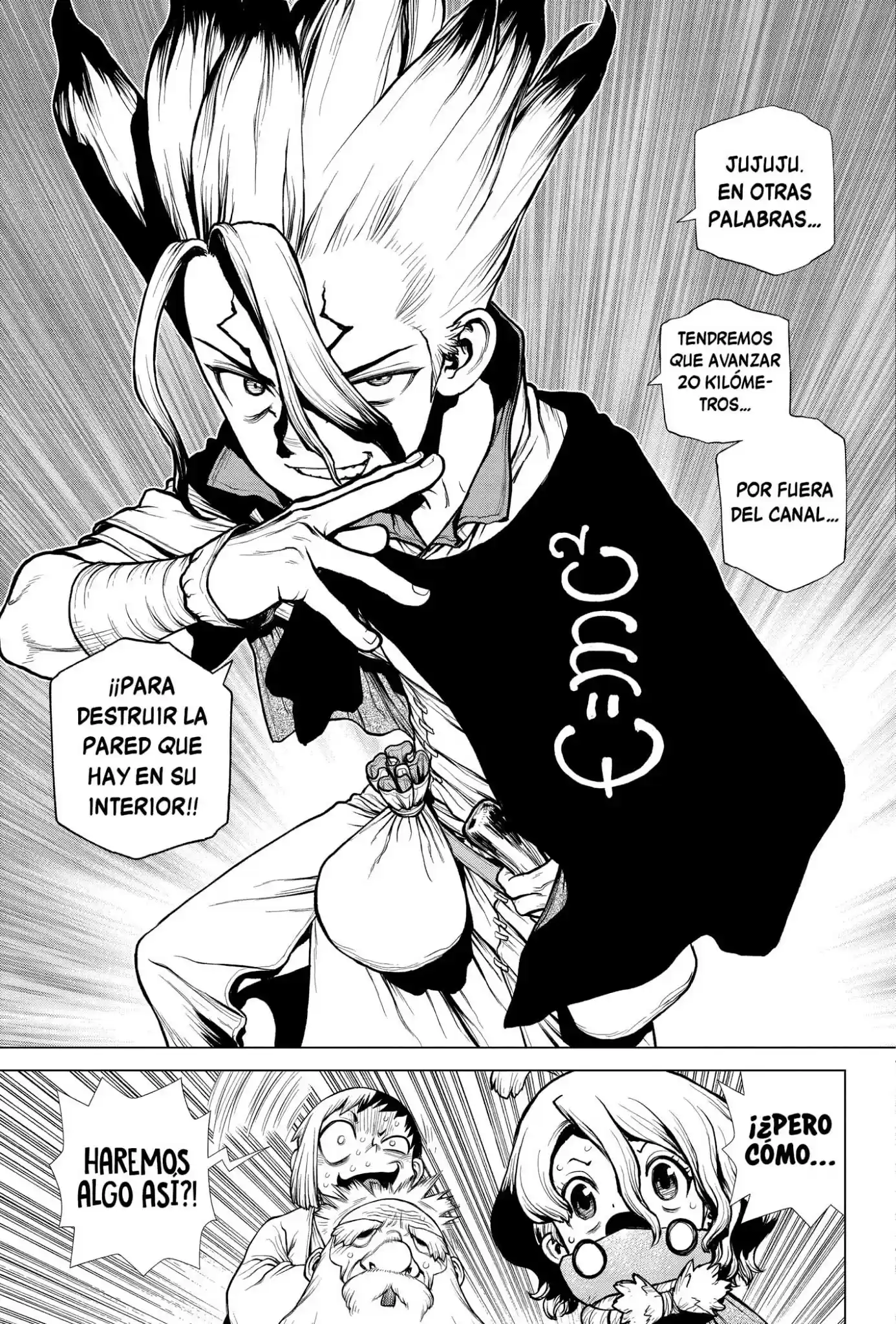 Dr.Stone capítulo 203, página 12