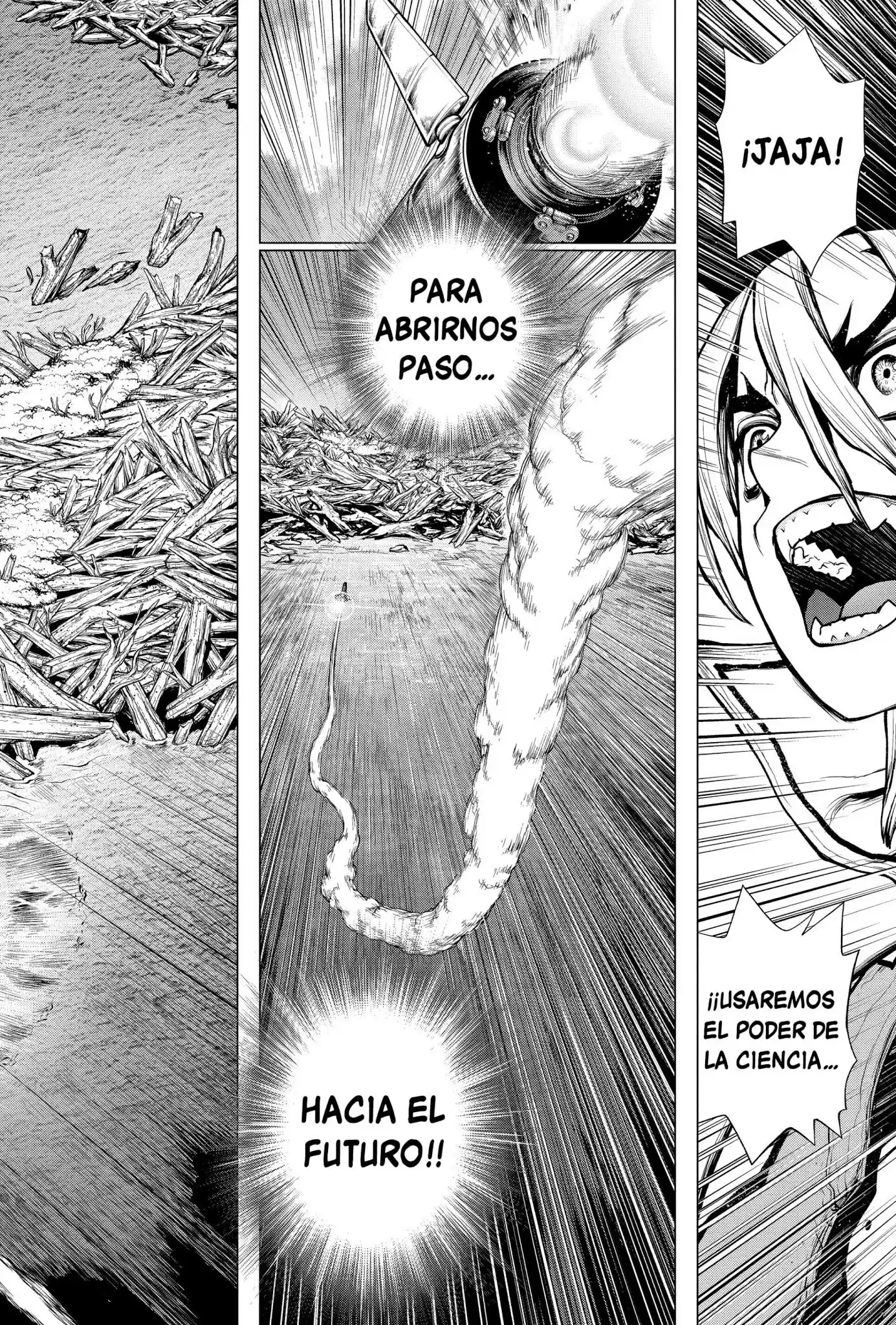 Dr.Stone capítulo 203, página 19