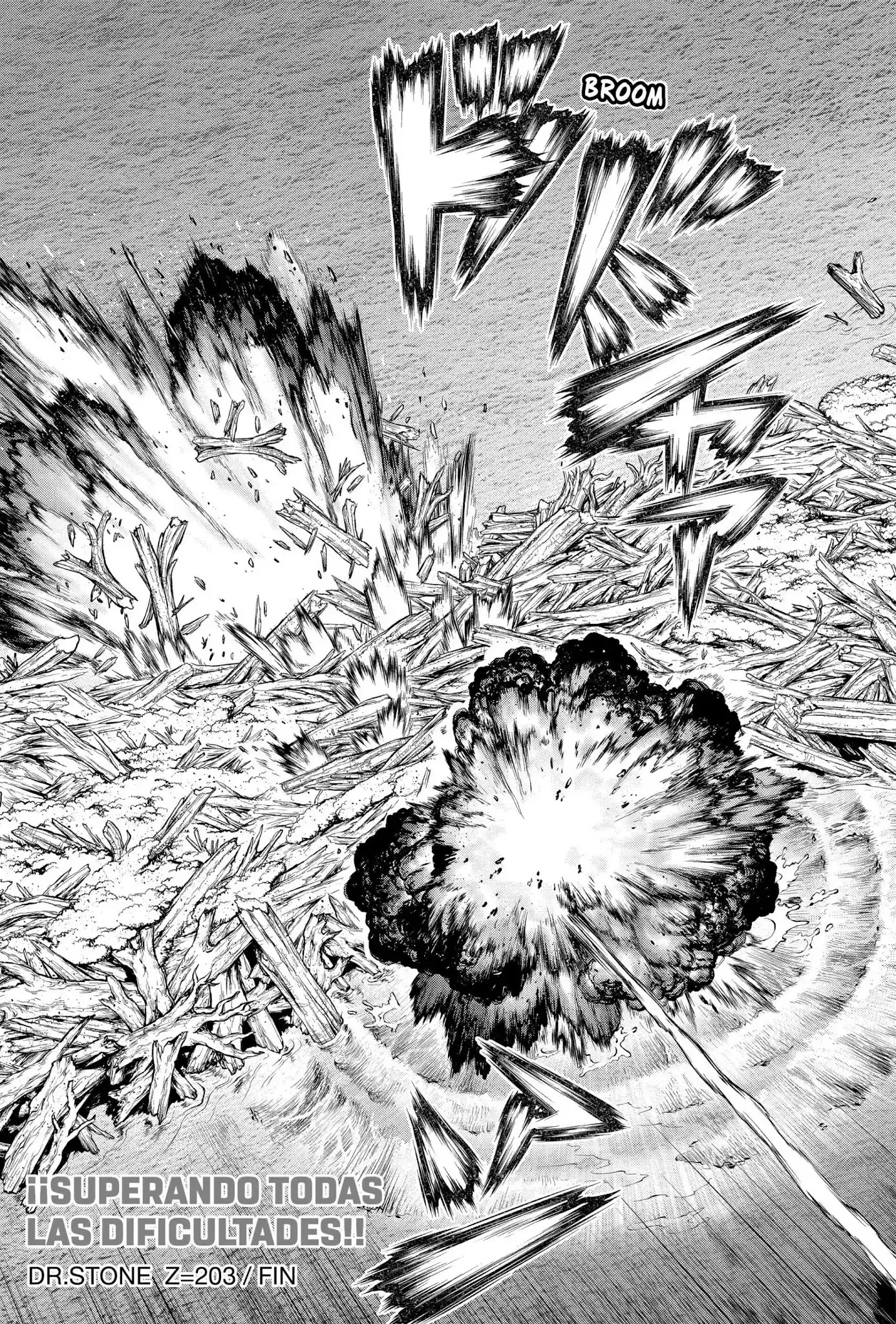Dr.Stone capítulo 203, página 20