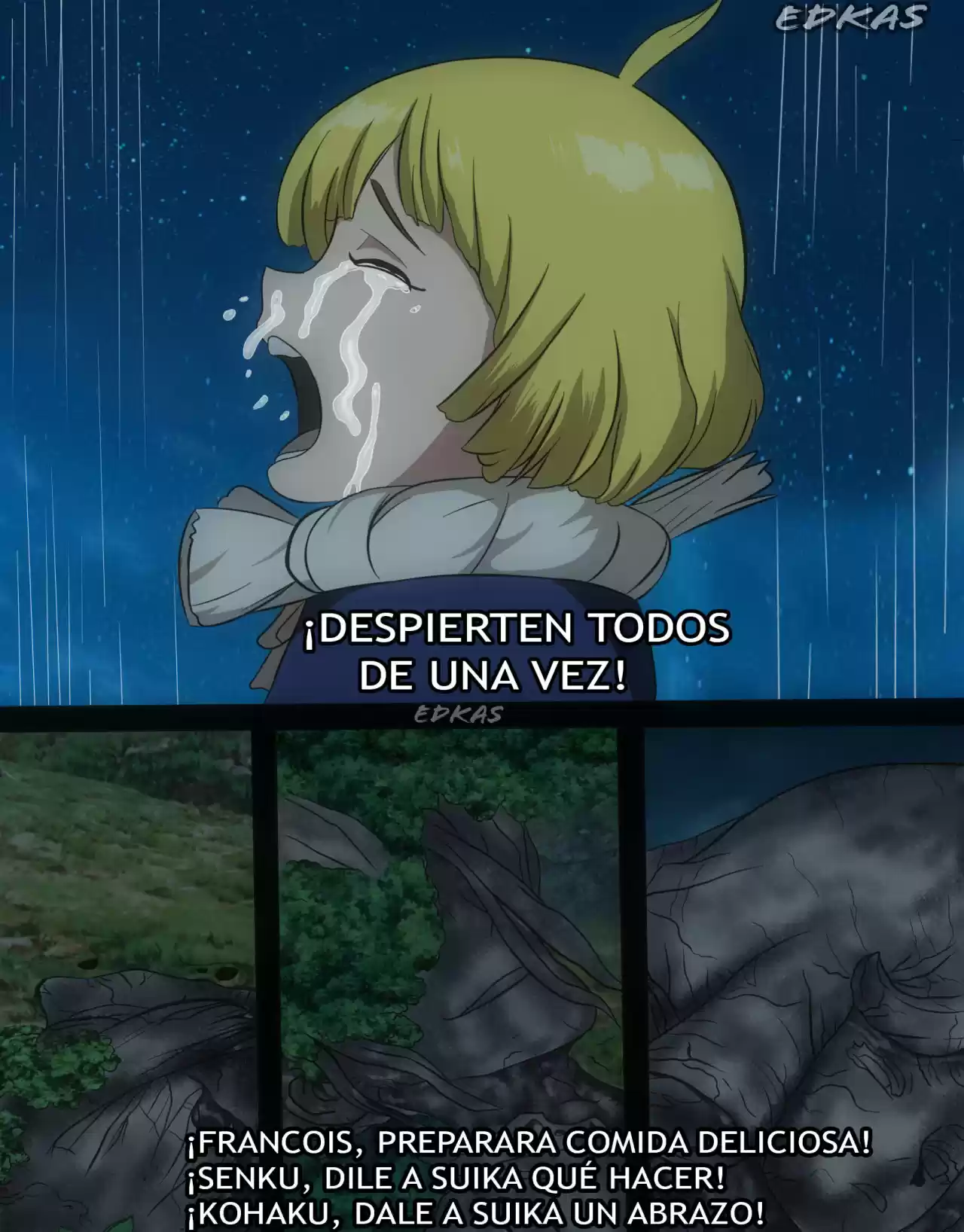 Dr.Stone capítulo 210, página 4