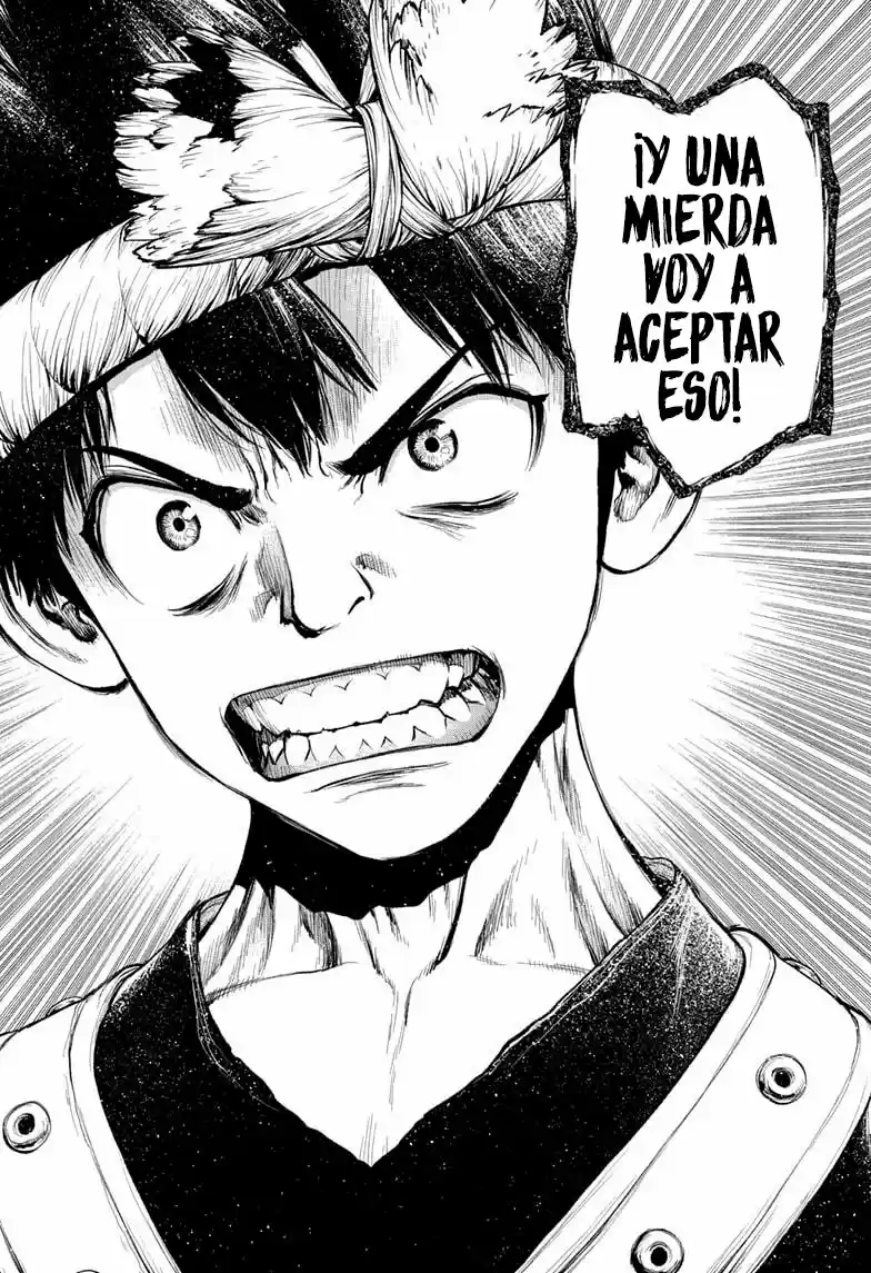 Dr.Stone capítulo 210, página 15