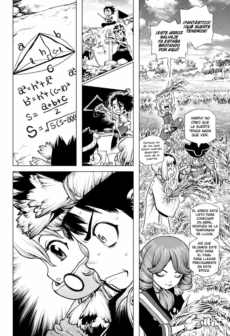 Dr.Stone capítulo 211, página 12