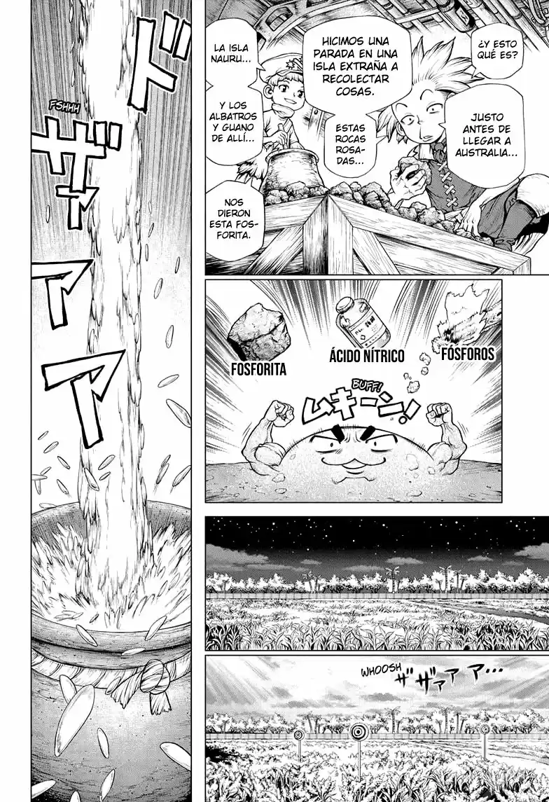 Dr.Stone capítulo 211, página 15