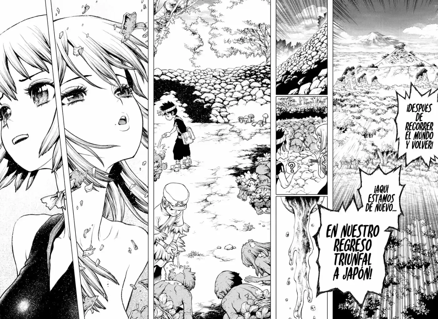 Dr.Stone capítulo 212, página 9