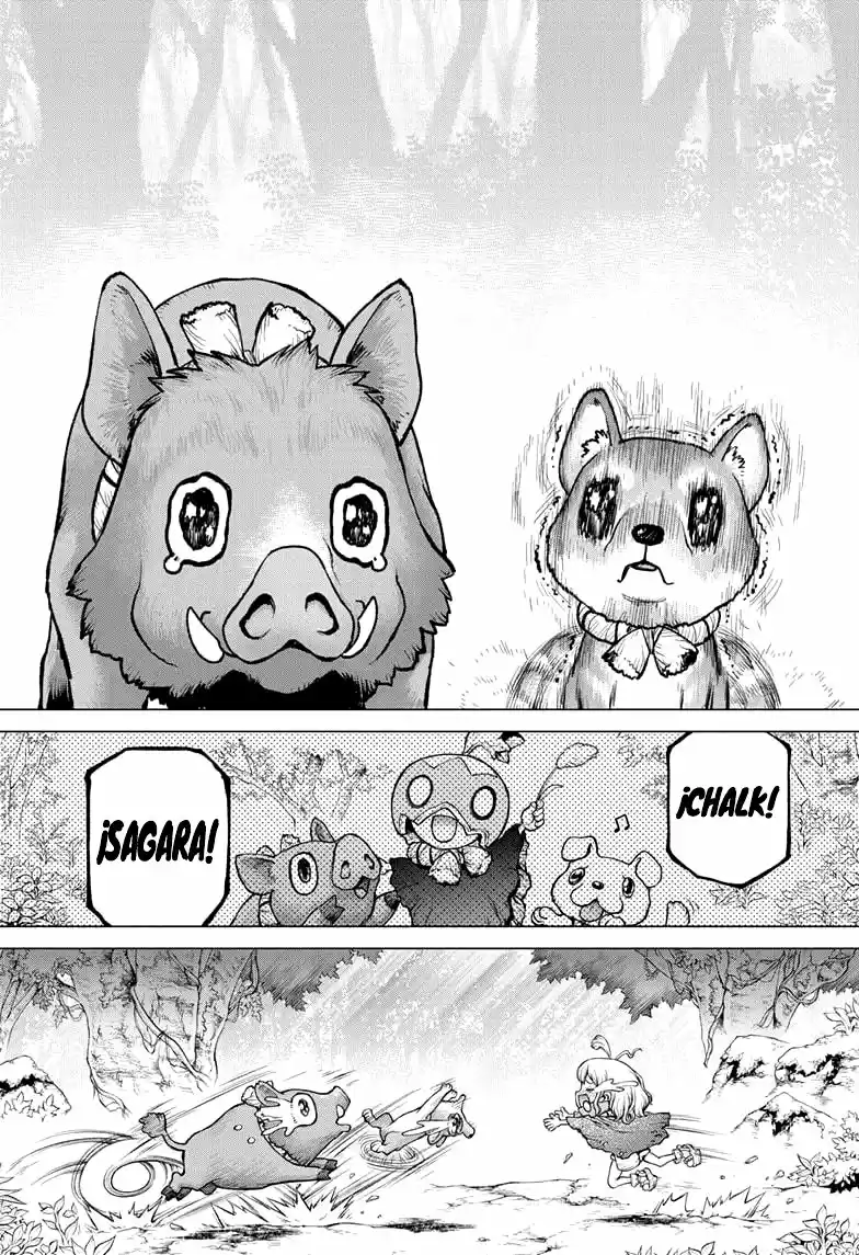 Dr.Stone capítulo 212, página 13