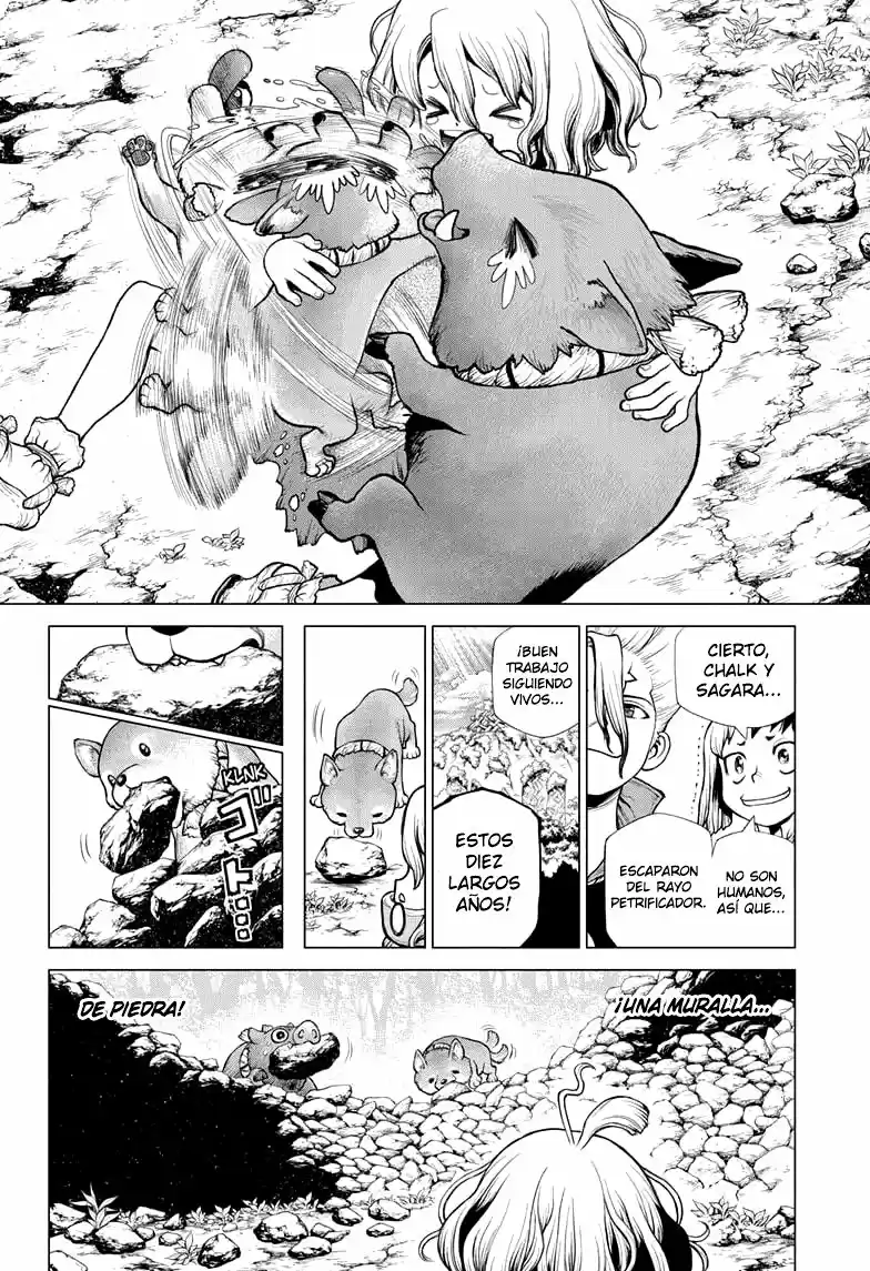 Dr.Stone capítulo 212, página 14