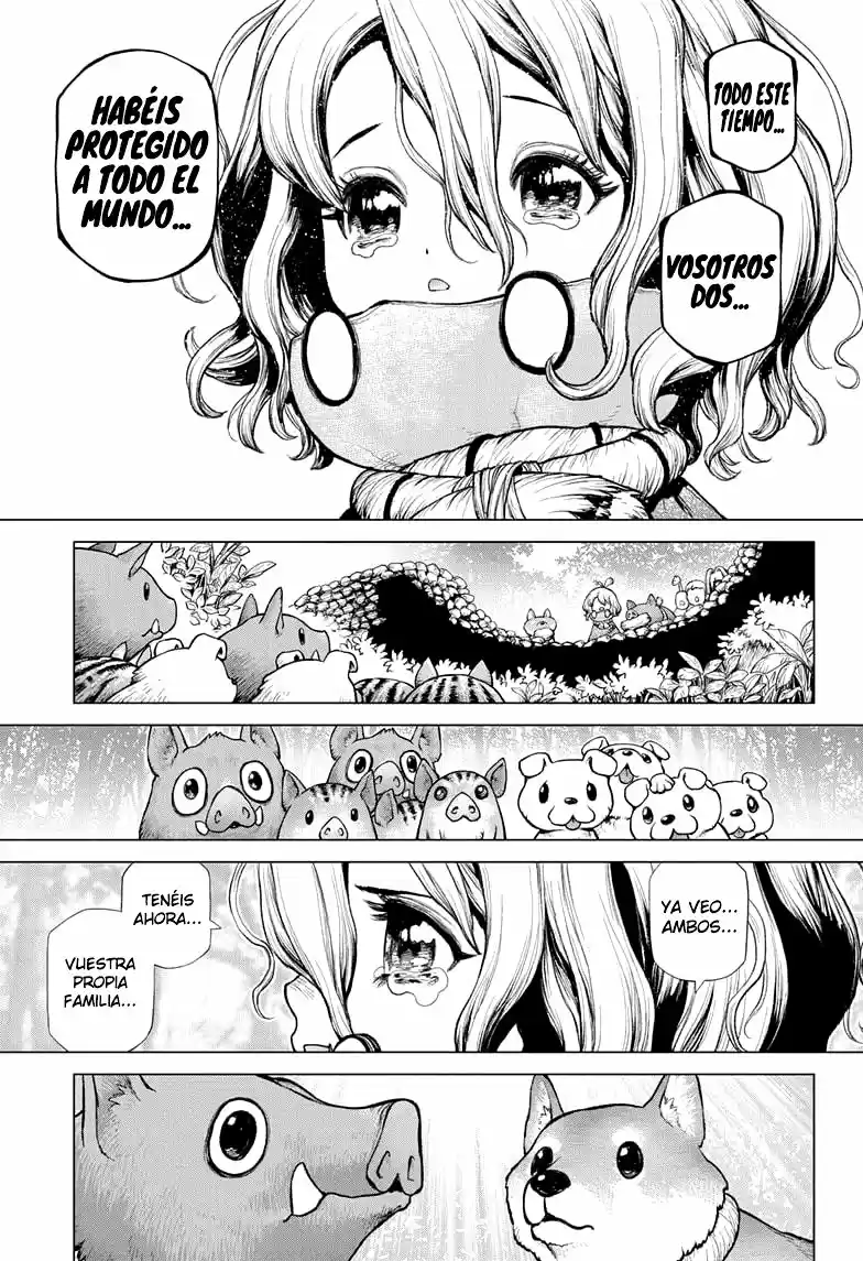 Dr.Stone capítulo 212, página 15