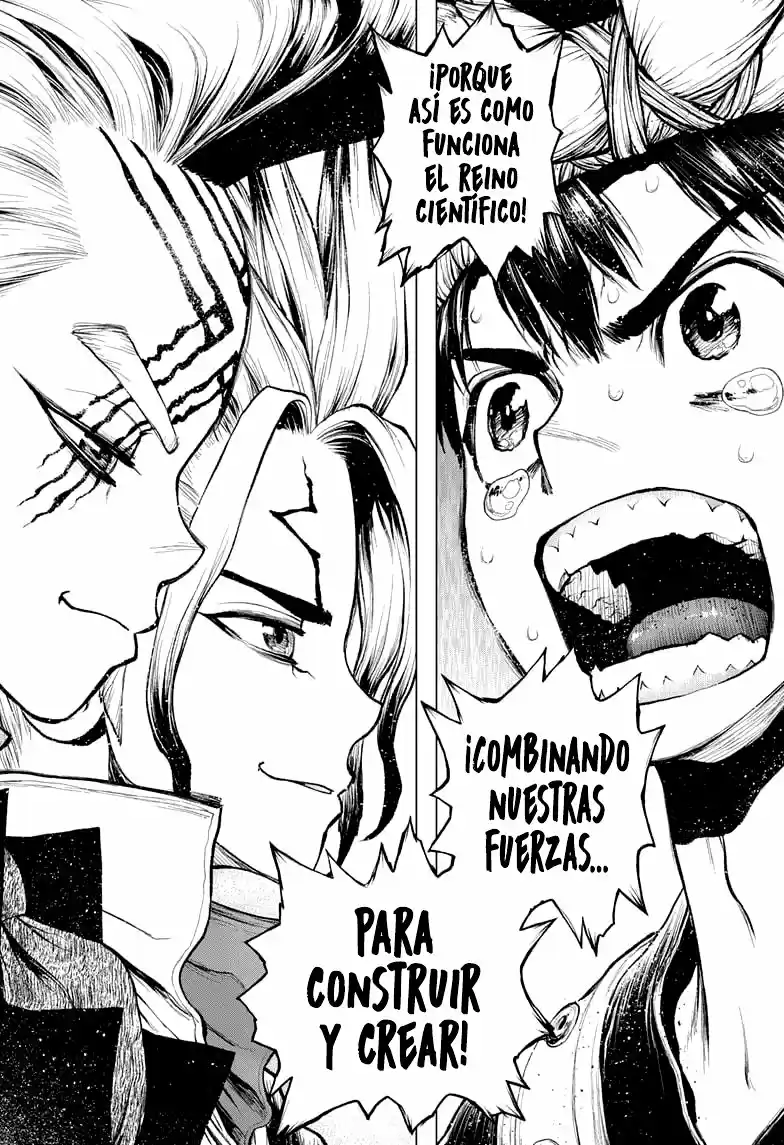 Dr.Stone capítulo 217, página 14