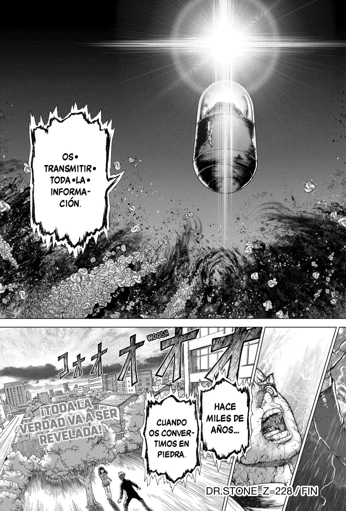 Dr.Stone capítulo 228, página 19