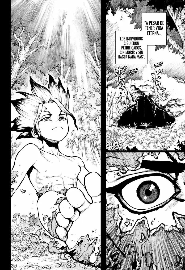 Dr.Stone capítulo 229, página 17