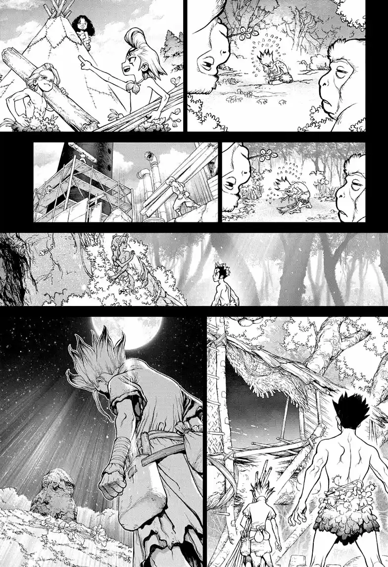 Dr.Stone capítulo 229, página 18