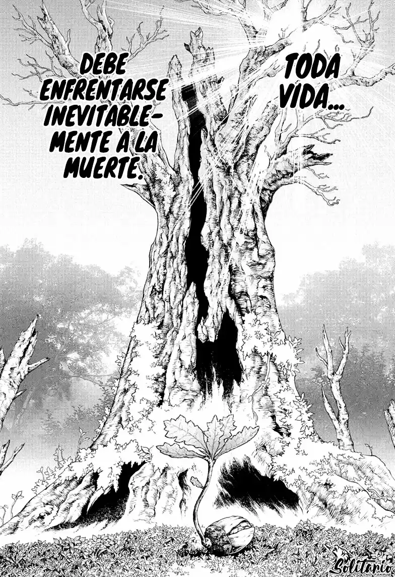 Dr.Stone capítulo 230, página 7